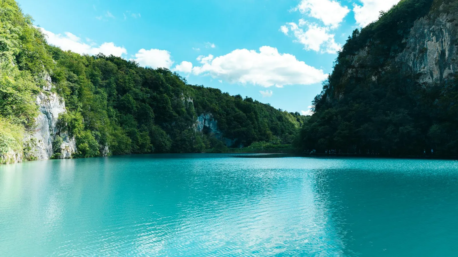 Spécialités culinaires croates